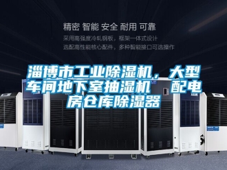 常見問題淄博市工業(yè)除濕機(jī)，大型車間地下室抽濕機(jī)  配電房倉庫除濕器
