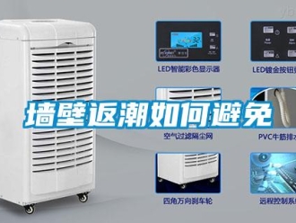 常見(jiàn)問(wèn)題墻壁返潮如何避免