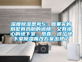 企業(yè)新聞深度除濕思考5：如果買的別墅有雞肋的閣樓，又有操心的地下室，恭喜，這個地下室除濕魔改方案出現(xiàn)了