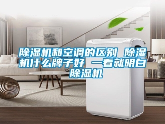 行業(yè)新聞除濕機和空調的區(qū)別 除濕機什么牌子好 一看就明白 除濕機
