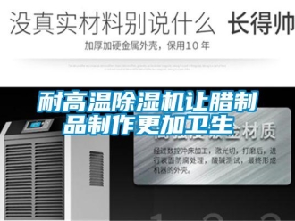 行業(yè)新聞耐高溫除濕機讓臘制品制作更加衛(wèi)生