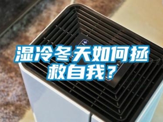 常見問題濕冷冬天如何拯救自我？