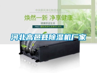企業(yè)新聞河北高邑縣除濕機廠家