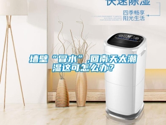 常見(jiàn)問(wèn)題墻壁“冒水”,回南天太潮濕這可怎么辦？