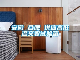 常見問題安徽 合肥 供應(yīng)高低溫交變?cè)囼?yàn)箱