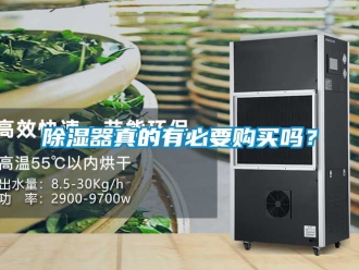 行業(yè)新聞除濕器真的有必要購買嗎？