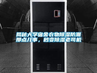 常見問題揭秘大學宿舍衣物除濕防潮那點兒事，秒變除濕老司機