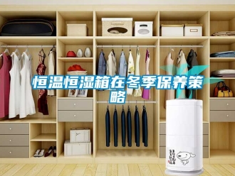 知識百科恒溫恒濕箱在冬季保養(yǎng)策略