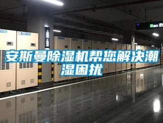常見問題安斯曼除濕機(jī)幫您解決潮濕困擾
