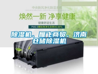 企業(yè)新聞除濕機、雁飛商貿(mào)、濟南倉儲除濕機