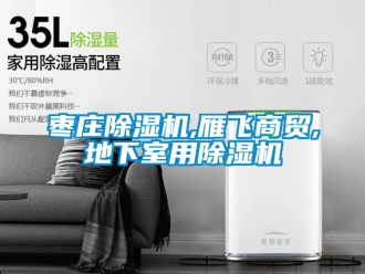 行業(yè)新聞棗莊除濕機(jī),雁飛商貿(mào),地下室用除濕機(jī)