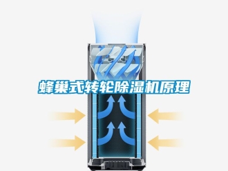 常見問題蜂巢式轉(zhuǎn)輪除濕機(jī)原理