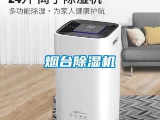 行業(yè)新聞煙臺(tái)除濕機(jī)