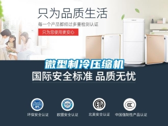 知識(shí)百科微型制冷壓縮機(jī)