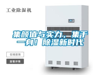 行業(yè)新聞集顏值與實(shí)力，集于一身！除濕新時(shí)代