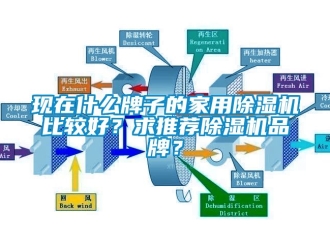 企業(yè)新聞現(xiàn)在什么牌子的家用除濕機(jī)比較好？求推薦除濕機(jī)品牌？