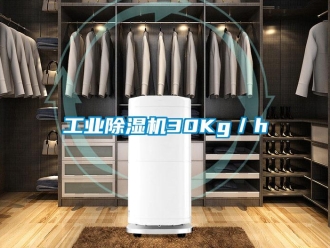 企業(yè)新聞工業(yè)除濕機30Kg／h