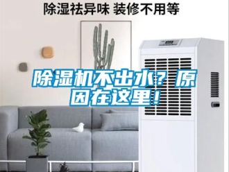 企業(yè)新聞除濕機(jī)不出水？原因在這里！