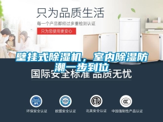 常見(jiàn)問(wèn)題壁掛式除濕機(jī)，室內(nèi)除濕防潮一步到位
