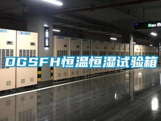 常見(jiàn)問(wèn)題DGSFH恒溫恒濕試驗(yàn)箱