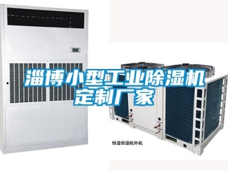 企業(yè)新聞淄博小型工業(yè)除濕機(jī)定制廠家