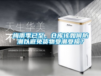 常見問題梅雨季已至，倉庫該如何防潮以避免貨物受潮受損？