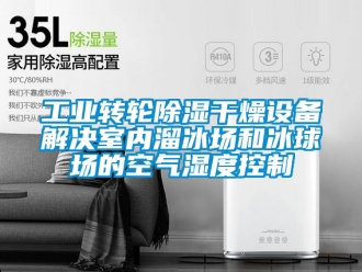 常見問題工業(yè)轉(zhuǎn)輪除濕干燥設(shè)備解決室內(nèi)溜冰場和冰球場的空氣濕度控制
