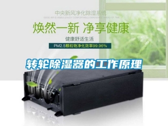 行業(yè)新聞轉輪除濕器的工作原理