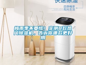 行業(yè)新聞梅雨季不要慌！實測8款熱門除濕機，告訴你哪款更好用