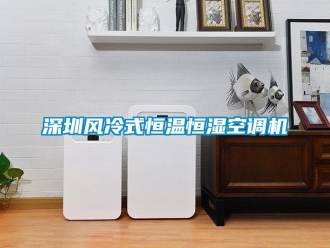 知識百科深圳風冷式恒溫恒濕空調(diào)機