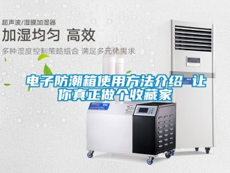 常見問題電子防潮箱使用方法介紹 讓你真正做個收藏家