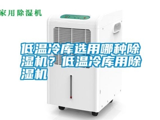 企業(yè)新聞低溫冷庫選用哪種除濕機？低溫冷庫用除濕機