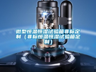 知識(shí)百科微型恒溫恒濕試驗(yàn)箱非標(biāo)定制（非標(biāo)恒溫恒濕試驗(yàn)箱定制）