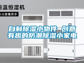 常見問題自制除濕小物件 創(chuàng)意有趣的防潮除濕小家電