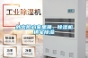 外出擔(dān)心家里潮，除濕機(jī)鎮(zhèn)宅除濕