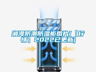常見問(wèn)題湘潭防潮防濕柜圖片(【行情】2022已更新)