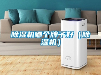 行業(yè)新聞除濕機哪個牌子好（除濕機）