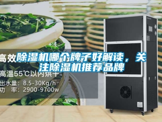 企業(yè)新聞除濕機(jī)哪個(gè)牌子好解讀，關(guān)注除濕機(jī)推薦品牌