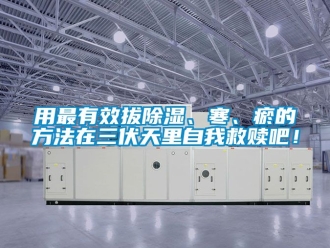 企業(yè)新聞用最有效拔除濕、寒、瘀的方法在三伏天里自我救贖吧！