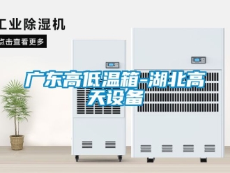 常見(jiàn)問(wèn)題廣東高低溫箱-湖北高天設(shè)備