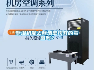 行業(yè)新聞除濕機(jī)能去除墻壁現(xiàn)有的霉菌嗎？