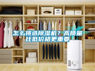 常見問題怎么挑選除濕機(jī)？高質(zhì)量比低價格更重要