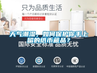 常見問題天氣潮濕，如何保護(hù)你手上留的紙幣藏品？