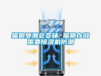 行業(yè)新聞貓糧受潮會(huì)變味 貓糧存放需要除濕機(jī)防潮