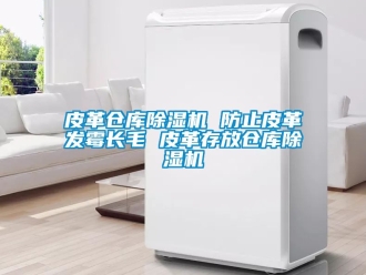 企業(yè)新聞皮革倉庫除濕機 防止皮革發(fā)霉長毛 皮革存放倉庫除濕機