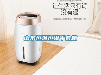 知識百科山東恒溫恒濕手套箱