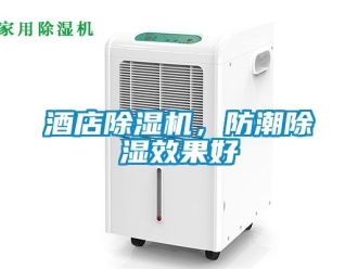 行業(yè)新聞酒店除濕機(jī)，防潮除濕效果好