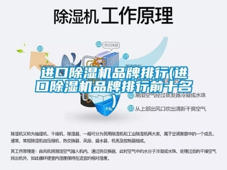 企業(yè)新聞進口除濕機品牌排行(進口除濕機品牌排行前十名)