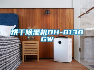 行業(yè)新聞烘干除濕機DH-8138GW