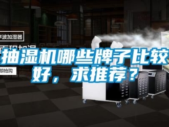 企業(yè)新聞抽濕機哪些牌子比較好，求推薦？